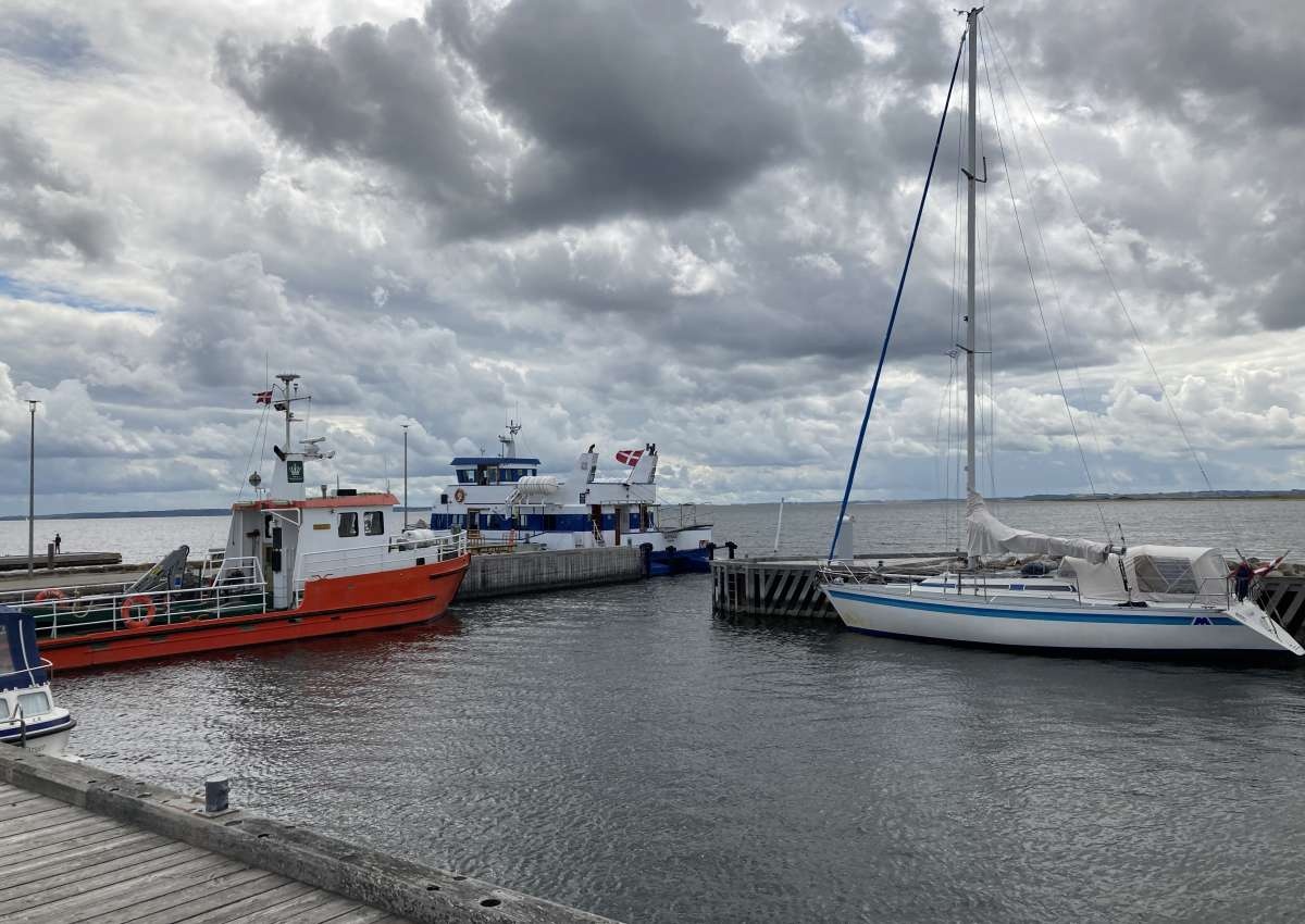 Livø Havn - Hafen