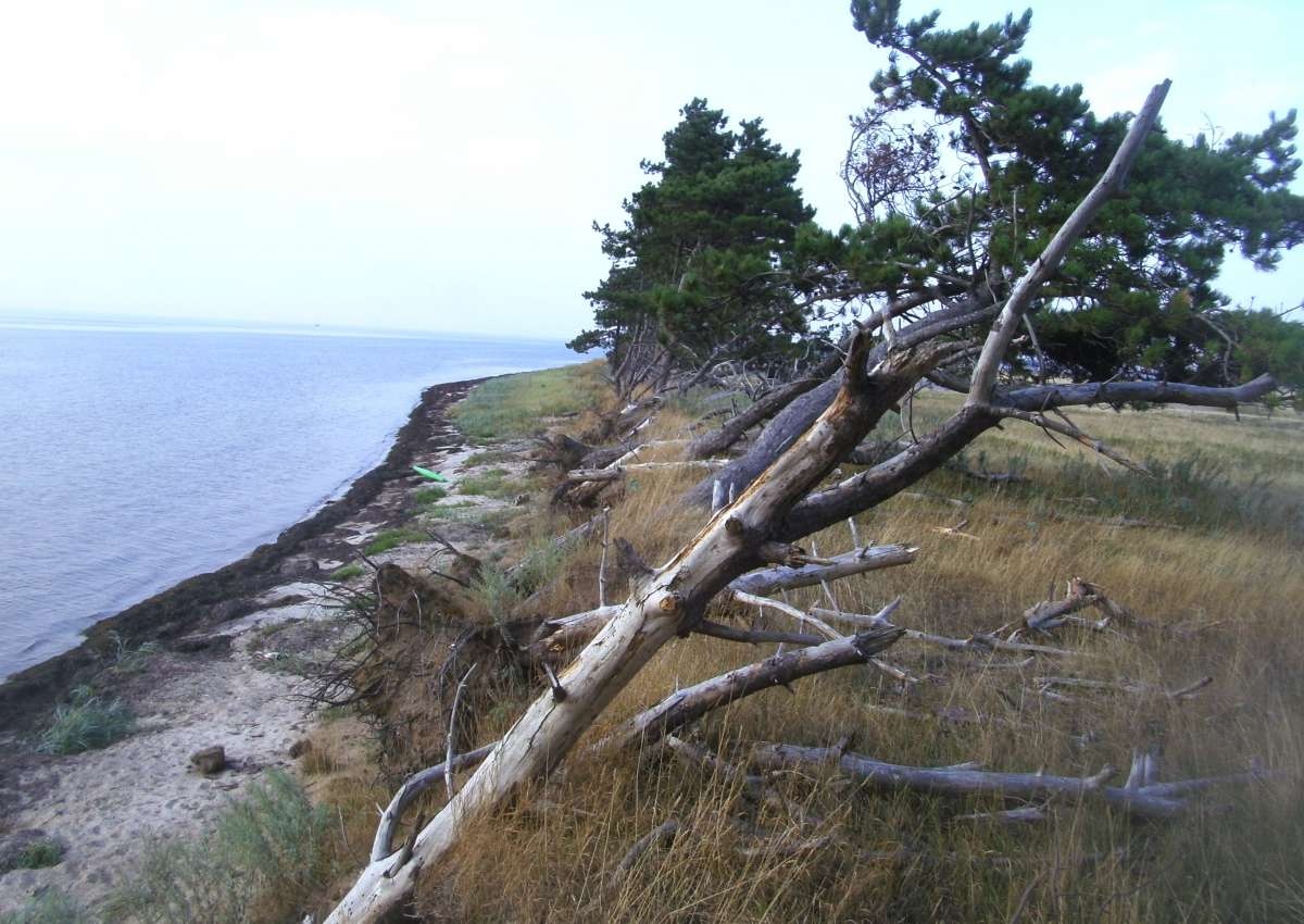 Enehøje - Anchor near Langø
